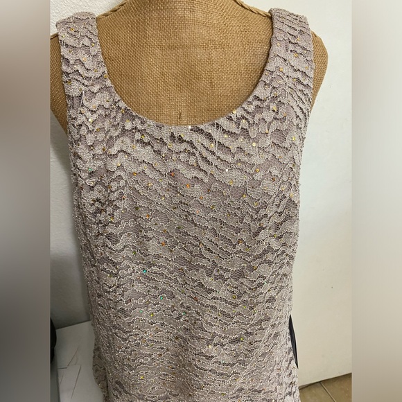 Beautifully New Sparkle Dress Champagne color New - Picture 3 of 6